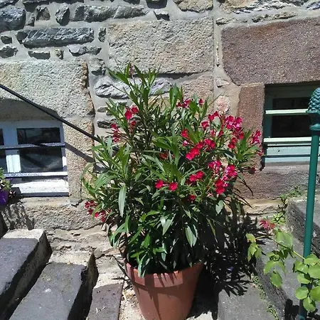 D'une Avec Terrasse Et Wifi A Sur Sarthe