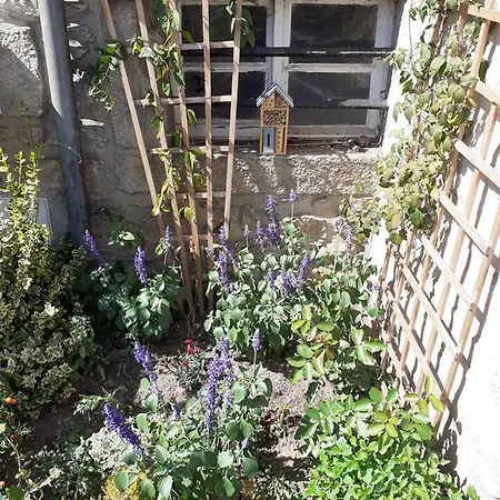 Апартаменты D'une Avec Terrasse Et Wifi A Sur Sarthe