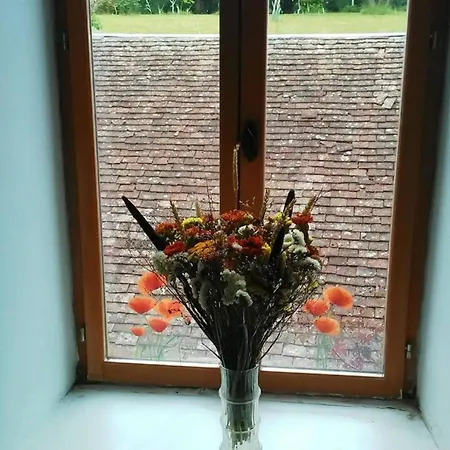 D'une Avec Terrasse Et Wifi A Sur Sarthe