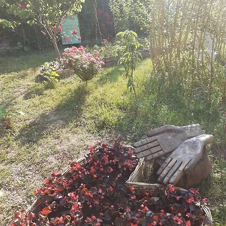 D'une Avec Terrasse Et Wifi A Sur Sarthe