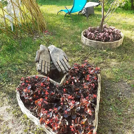 Апартаменты D'une Avec Terrasse Et Wifi A Sur Sarthe Френе-сюр-Сарт