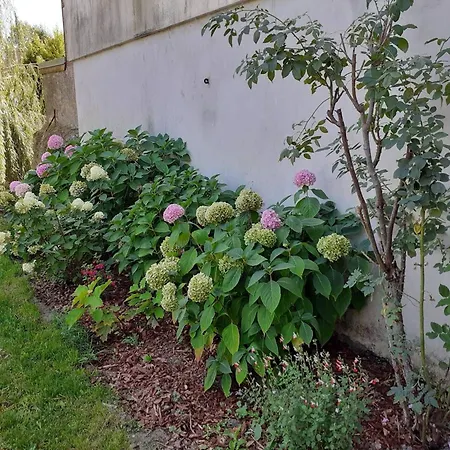 D'une Avec Terrasse Et Wifi A Sur Sarthe Френе-сюр-Сарт